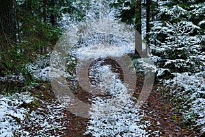 Soil snow trailway in the forest in winter