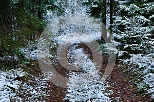 Soil snow trailway in the forest in winter photo