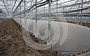 Soil steaming photo