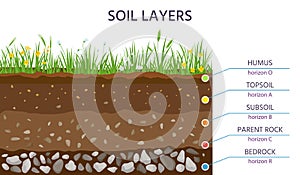 Soil structure layers, ground cross section education diagram. Grass, humus, topsoil, subsoil, parent rock and bedrock photo