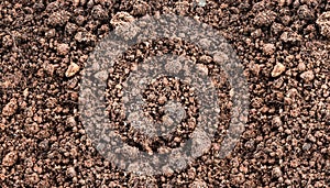 Soil surface texture background