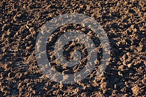 Soil texture background. Fertile soil suitable for planting. Plowed agricultural field, dry land close up