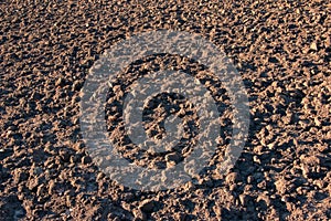 Soil texture background. Fertile soil suitable for planting. Plowed agricultural field, dry land close up