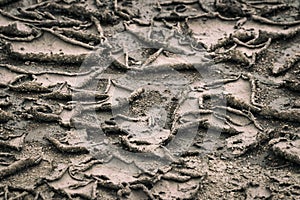 Soil texture with dried twisted mud edges. Climate change, global warming effect