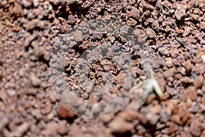Soil texture,macro photo.