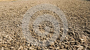 Soil - Texture Sand, Silt, Clay Composition. Fertile loam soil suitable for planting, soil texture background photo