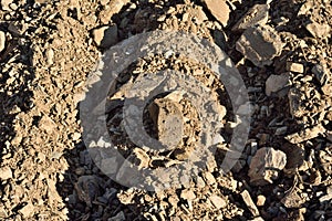 Soil that there is in the Priorat, for the plantation of vin