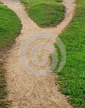 Soil trail and green grass separated two way