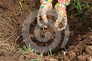 Soil that was fertilized with manure