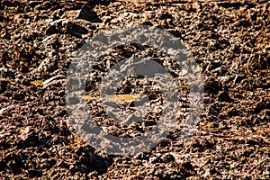 Texture of soil with wet clods of dirt