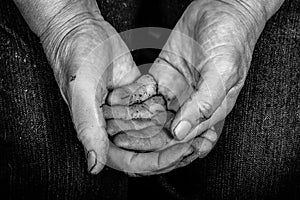 Soiled hands of elderly women
