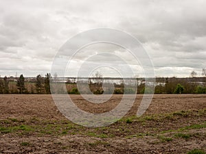 Soily Field in the lush landscape of essex