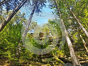 Sokolci Castle Ruins, Czechia