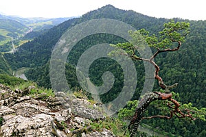 Sokolica, Pieniny Mountains, National Park in Poland