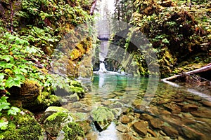 Sol Duc