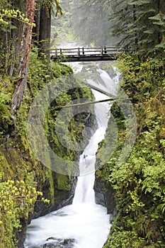 Sol Duc Falls photo