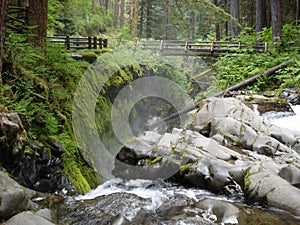 Sol Duc Falls photo