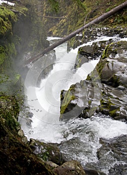 Sol Duc Falls photo