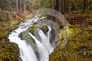 Sol Duc falls, Olympic national park