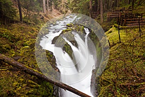 Sol Duc falls, Olympic national park photo