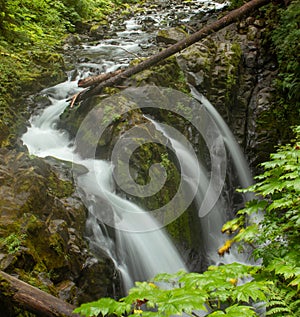 Sol Duc Falls, Olympic Peninsula, Washington