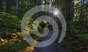 Sol Duc Falls Trail in Olympic NF