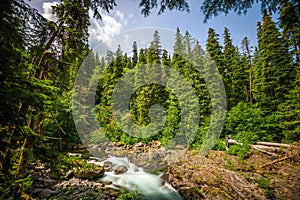 Sol Duc River River in Olympic National Park