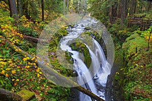 Sol Duc waterfall in Rain Forest photo