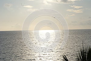 Sol en el agua photo