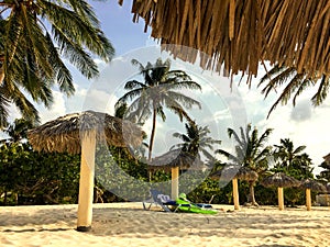 Sol Rio de Luna Mares resort beach with palapas and lounge chairs