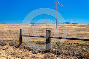 Solano County Wind Turbines Farm photo