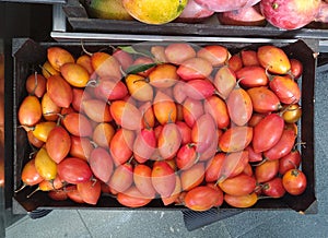 Solanum betaceum fruits.