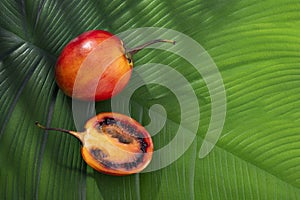 Solanum betaceum - Tamarillo ripe tropical fruit with blackberry graft
