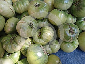 Solanum lycopersicon, Aunt Ruby's German Green