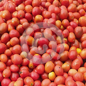 Solanum lycopersicum tomatos cherry  top view background