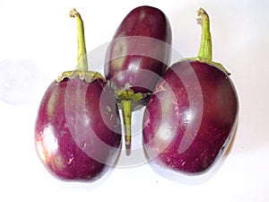 Solanum melongena brinjal vegetable