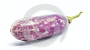 Solanum melongena or purple eggplant