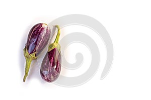 Solanum melongena - Two organic eggplants isolated on a white background