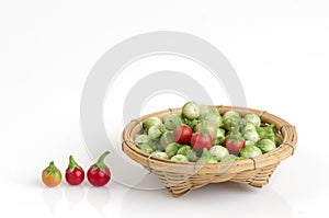 Solanum sanitwongsei Craib (Solanum trilobatum L.)