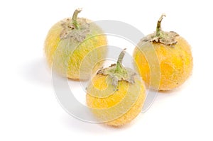 Solanum. stramonifolium