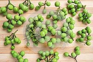 Solanum torvum or pea eggplant