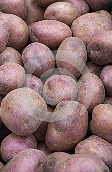 Solanum tuberosum - fresh potatoes