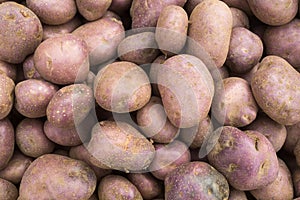 Solanum tuberosum - Organic potato in the traditional Colombian market