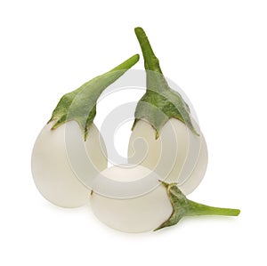 Solanum xanthocarpum Schrad. & Wendl