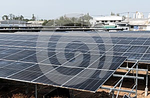 Solar cell farm eco energy