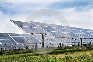 Solar cell panels farm