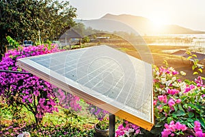 Solar cell with sun light