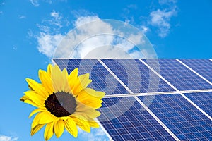 solar cell with sunflower