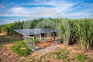 Solar cell water pump farm Station