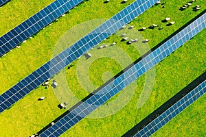 Solar cells of photovoltaic power with grazing sheep from above. Renewable resource of energy, Energy saving concept photo